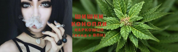 гашик Балахна