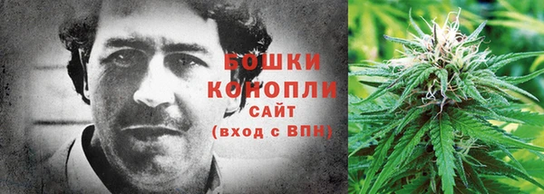 амф Саяногорск