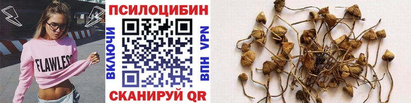 Псилоцибиновые грибы прущие грибы  цены наркотик  Благодарный 