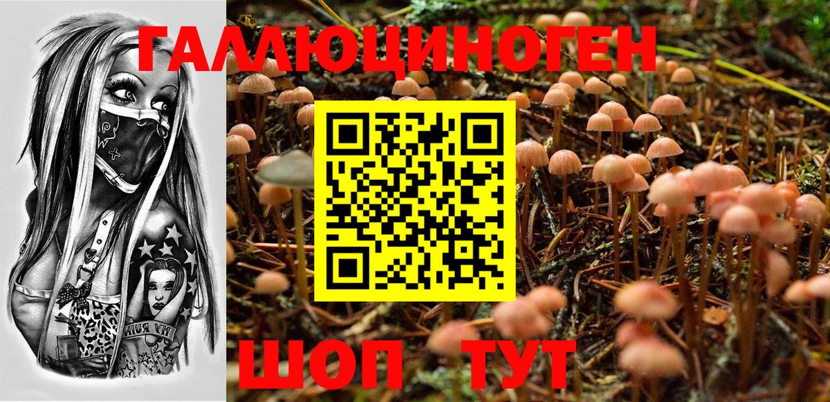 Галлюциногенные грибы Magic Shrooms  Вход с VPN  сколько стоит  Благодарный 